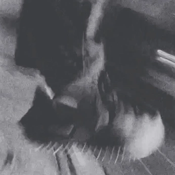 A cover of "album #1" cluster. The owner is joyoyss. The cluster consists of 9 elements.