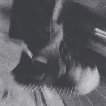 A cover of "photography" cluster. The owner is tyehazelwood. The cluster consists of 89 elements.