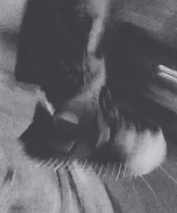 Cover of PICTUREGRAPHER cluster