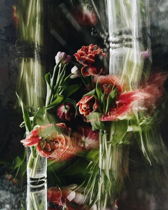 A cover of "flora" cluster. The owner is cookiesnscreams. The cluster consists of 22 elements.