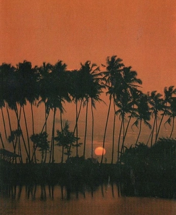 A cover of "Isla" cluster. The owner is wildintrinsic. The cluster consists of 28 elements.