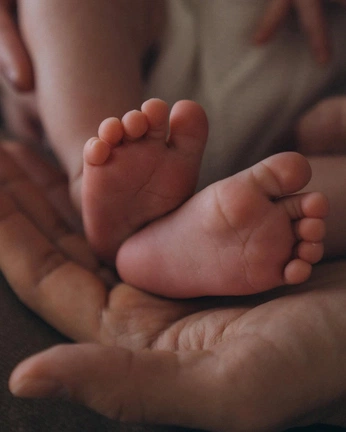 A cover of "Goga New Born" cluster. The owner is desanfelixmmgv. The cluster consists of 14 elements.