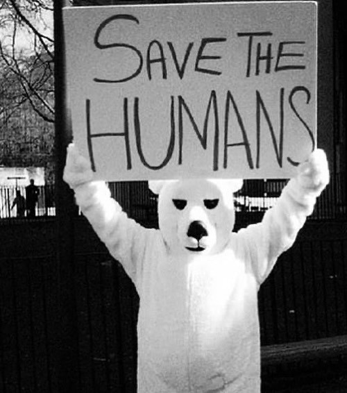 An Instagram carousel post added by sintaxera on Jan 06, 2025. The author is @downloaded.