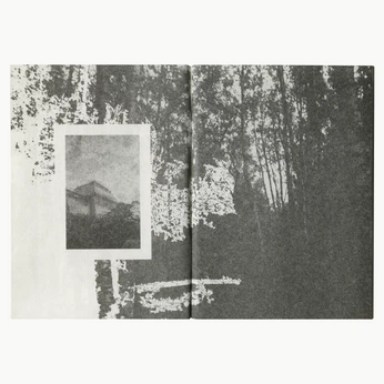 A cover of "graphic design" cluster. The owner is brostop. The cluster consists of 12 elements.