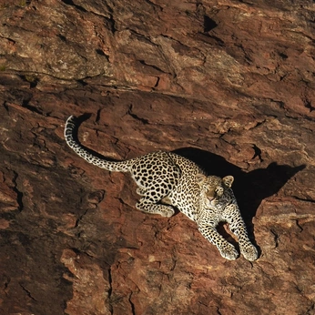 A cover of "concept" cluster. The owner is gureshin. The cluster consists of 29 elements.