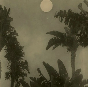 A cover of "Aura House" cluster. The owner is cesaretorralba. The cluster consists of 33 elements.