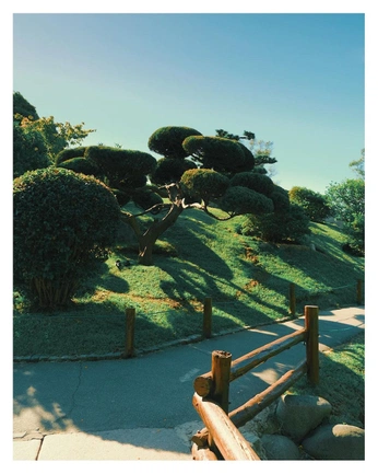 A cover of "PAN-ASIAN GARDEN" cluster. The owner is kalashnikovamaru. The cluster consists of 16 elements.