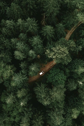 A cover of "Concept 2025" cluster. The owner is notsotanmay. The cluster consists of 11 elements.