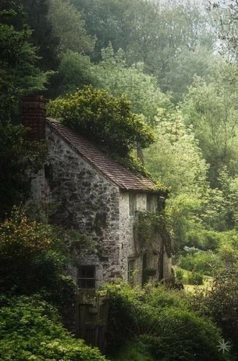 A cover of "posters" cluster. The owner is patrycja. The cluster consists of 127 elements.