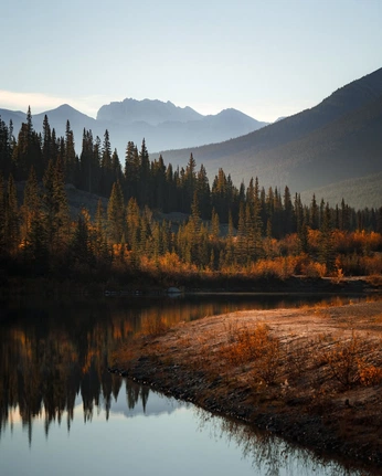 A cover of "Magazine Design" cluster. The owner is campo. The cluster consists of 13 elements.