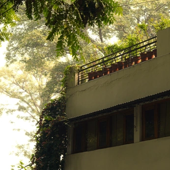 A cover of "photowalk - chandigarh" cluster. The owner is notkartikk. The cluster consists of 12 elements.