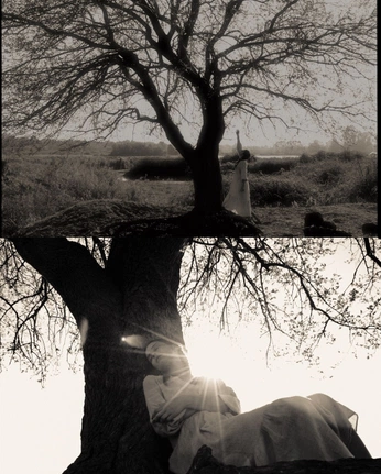 A cover of "homework" cluster. The owner is sunma. The cluster consists of 9 elements.