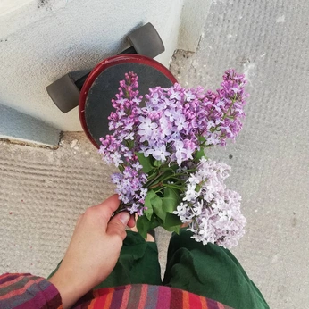 A cover of "Inspo - Misc" cluster. The owner is fefefemont. The cluster consists of 69 elements.