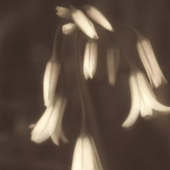 A cover of "Mother Nature’s Bitch" cluster. The owner is averysa. The cluster consists of 64 elements.