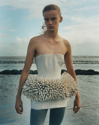 A cover of "Island Life" cluster. The owner is ma0dzz. The cluster consists of 64 elements.