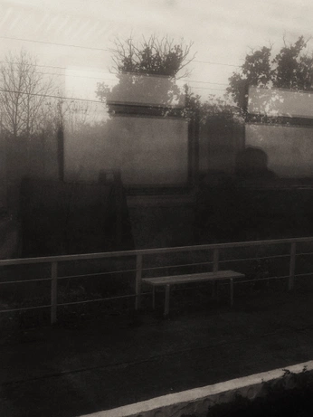 A cover of "Black & White" cluster. The owner is sharm. The cluster consists of 1 element.