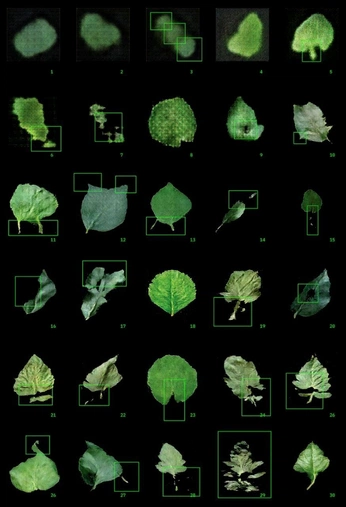 A cover of "nature" cluster. The owner is katedrozd. The cluster consists of 3 elements.