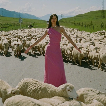 A cover of "Befree" cluster. The owner is luduch. The cluster consists of 41 elements.