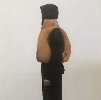 A cover of "1.1" cluster. The owner is camille02. The cluster consists of 1 element.