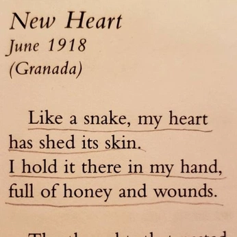 A cover of "feels like home ✨" cluster. The owner is maychr. The cluster consists of 3 elements.