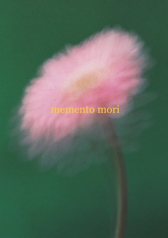 A cover of "Soft" cluster. The owner is belente. The cluster consists of 53 elements.