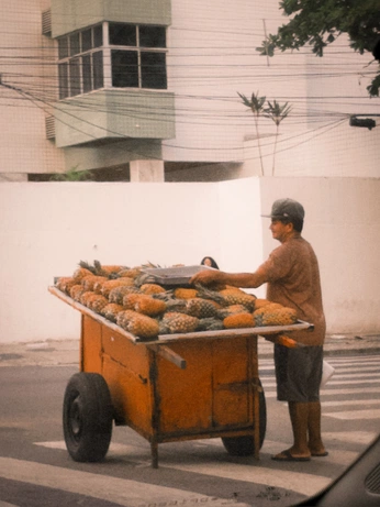 A cover of "thaís’ photos" cluster. The owner is thaisferraz. The cluster description is "all pictures were taken by me". The cluster consists of 40 elements.