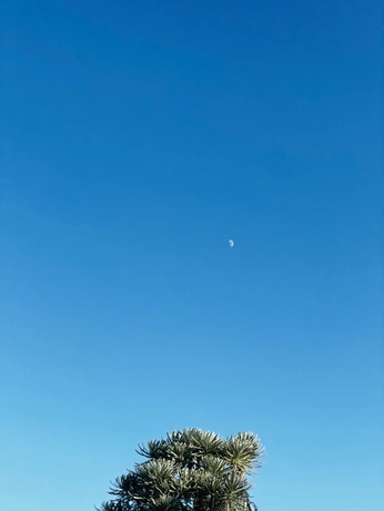 A cover of "Personal brand" cluster. The owner is khlooddesign. The cluster consists of 36 elements.