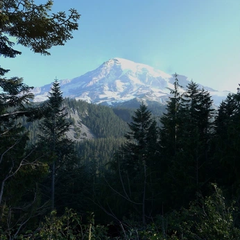 A cover of "feed curation" cluster. The owner is jolteon. The cluster consists of 10 elements.