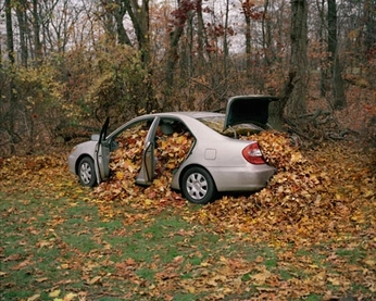 A cover of "yeah" cluster. The owner is slimyfriend. The cluster consists of 1 element.