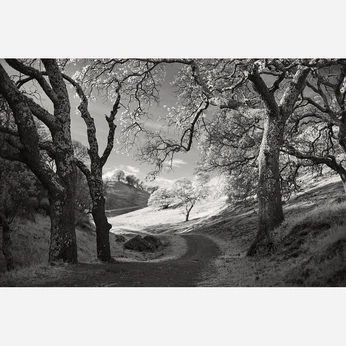 A cover of "Infared" cluster. The owner is adigun. The cluster consists of 38 elements.