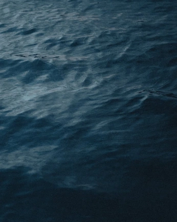 A cover of "Nick Gaggero" cluster. The owner is julitombo. The cluster consists of 50 elements.