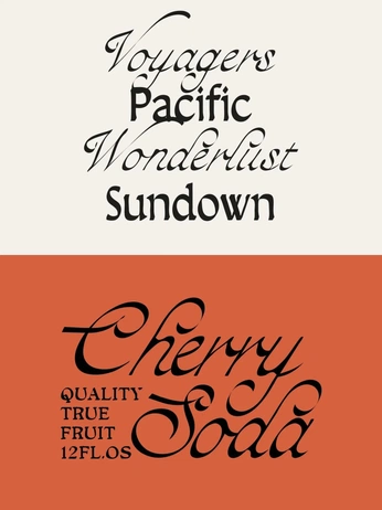 A cover of "Typography" cluster. The owner is samijones. The cluster consists of 29 elements.