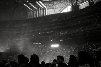 A cover of "Film B & W" cluster. The owner is delphiedesigns. The cluster consists of 35 elements.