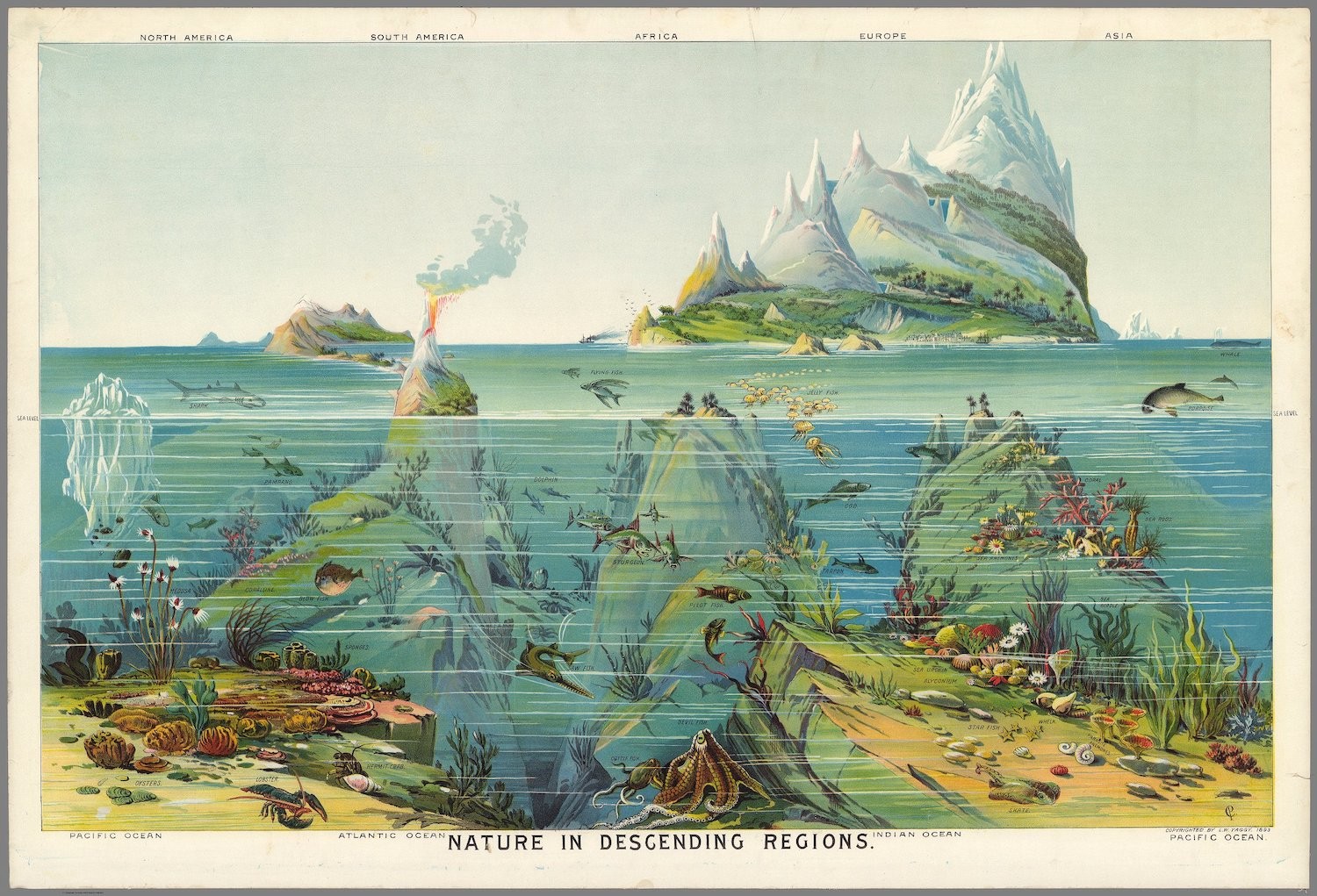 An image added by cosmos on Jul 10, 2024. May present: nature in descending regions, chromolithography.