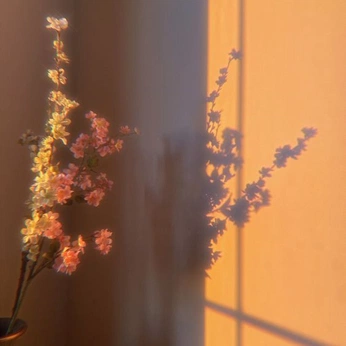 A cover of "Sun can’t hurt my eyes" cluster. The owner is raeintheclouds. The cluster consists of 20 elements.