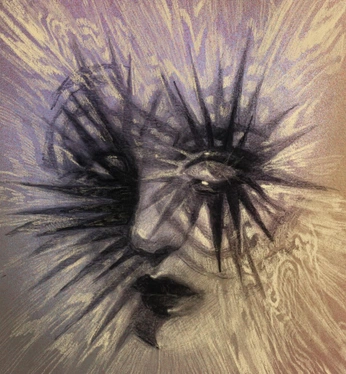 A cover of "Finds on insta" cluster. The owner is eutopiandisaster. The cluster consists of 2 elements.