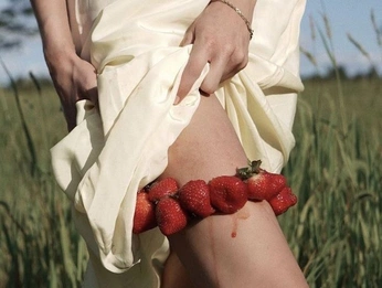 A cover of "capture" cluster. The owner is doasalicedoes. The cluster consists of 68 elements.