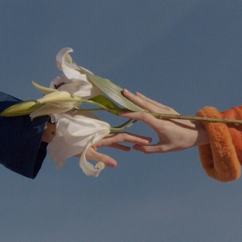 A cover of "Blissful Balance" cluster. The owner is julianamejiaar. The cluster consists of 13 elements.