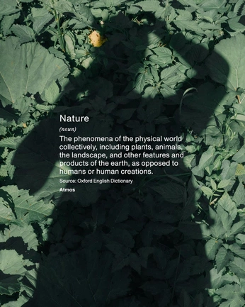 A cover of "Centella Asiatica" cluster. The owner is davideduardohe. The cluster consists of 7 elements.