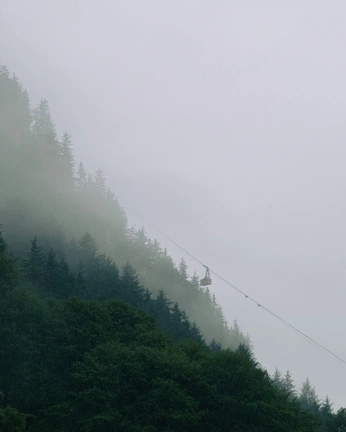 A cover of "Natalie Elsky photo" cluster. The owner is natalieelsky. The cluster consists of 3 elements.