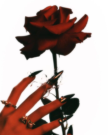 A cover of "RED GOTH" cluster. The owner is jazz227. The cluster consists of 48 elements.