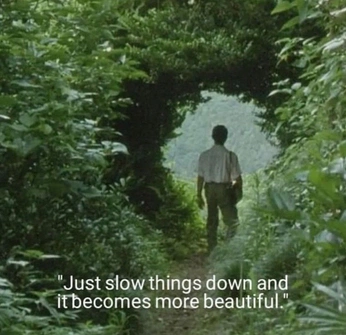 A cover of "Slow Living" cluster. The owner is brilandry. The cluster consists of 71 elements.