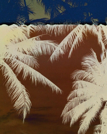 A cover of "Homepage" cluster. The owner is cozyshadelane. The cluster consists of 3 elements.