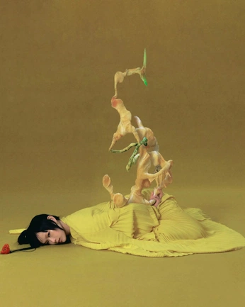 A cover of "Editorial" cluster. The owner is priscilafileti. The cluster consists of 24 elements.