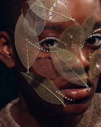 A cover of "References" cluster. The owner is cyberssage. The cluster consists of 304 elements.