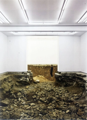 A cover of "Espacios" cluster. The owner is riskdesign. The cluster consists of 45 elements.