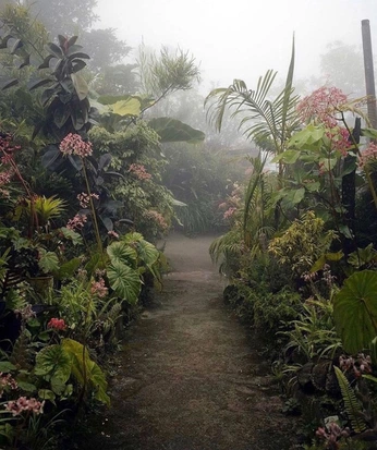 A cover of "Nature" cluster. The owner is reemarchive. The cluster consists of 5 elements.