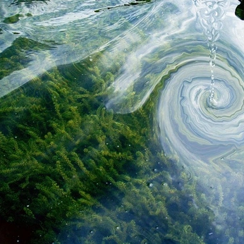 A cover of "water" cluster. The owner is lanmik. The cluster consists of 14 elements.