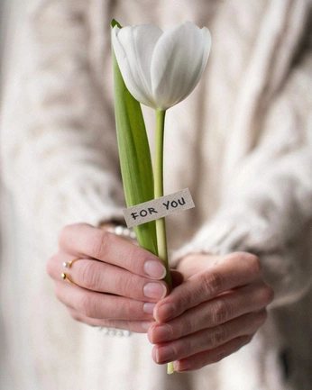 A cover of "SPRING INSPIRATION" cluster. The owner is catherinerandall. The cluster consists of 2 elements.