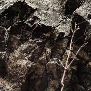 A cover of "outcrop" cluster. The owner is uwill. The cluster consists of 5 elements.